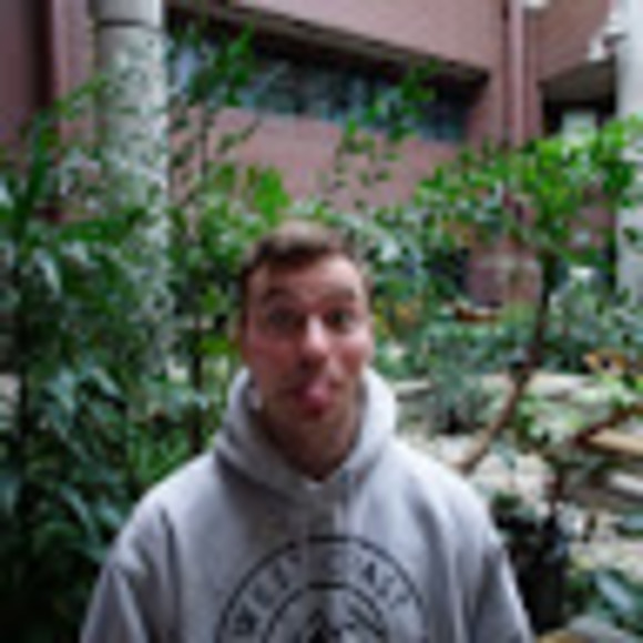 Meet your Posher, Levi - Picture 1 of 1